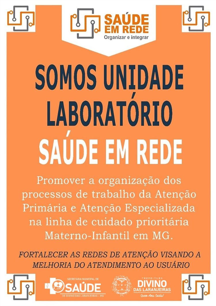 DIVINO DAS LARANJEIRAS: Realizou o Curso do Projeto Saúde em Rede.